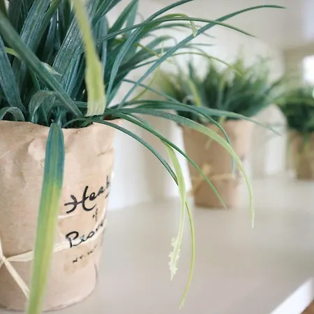 Alexanderpark 펜션 *