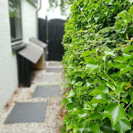 Alexanderpark בית נופש אאודורפ