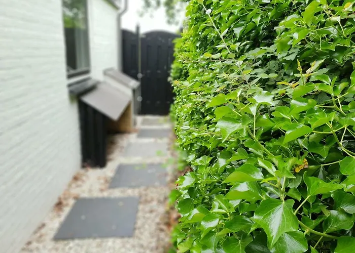 Alexanderpark Dom wakacyjny Ouddorp